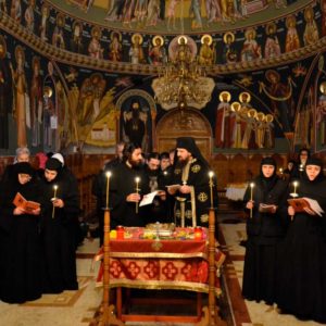 O zi din viata monahala la Manastirea Lipnita